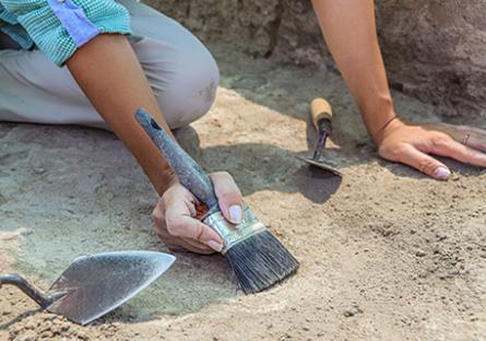 Archaeologist using a brush to uncover a dig.
